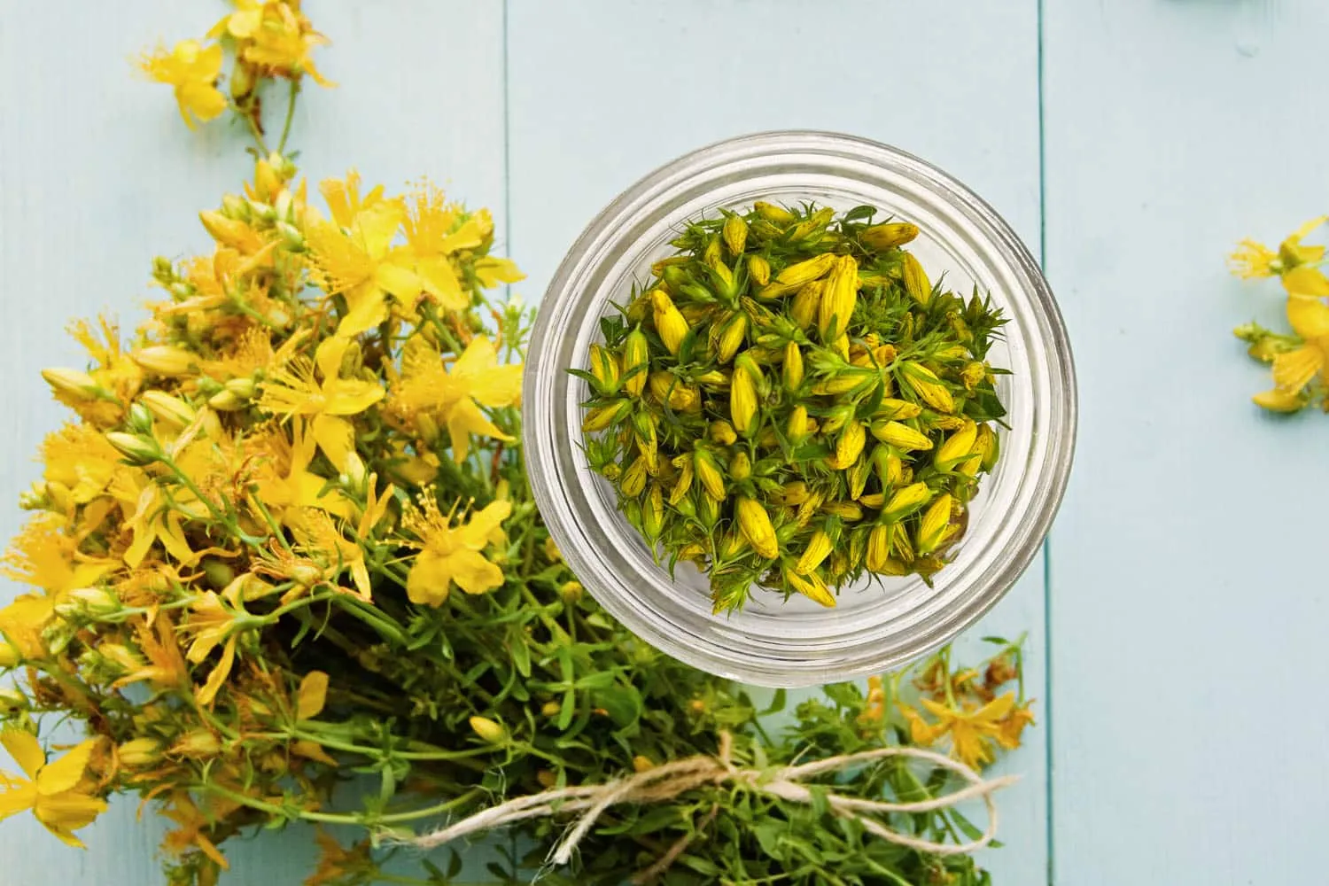 St. John's Wort extract ingredient used in Neuro Sharp cognitive formula